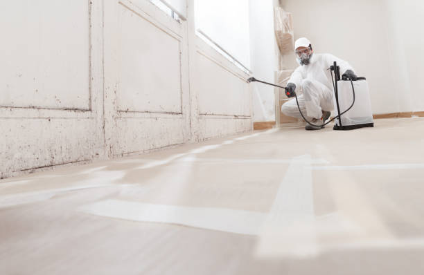 24/7 Emergency Attic Mold Removal experts in Roselle, NJ